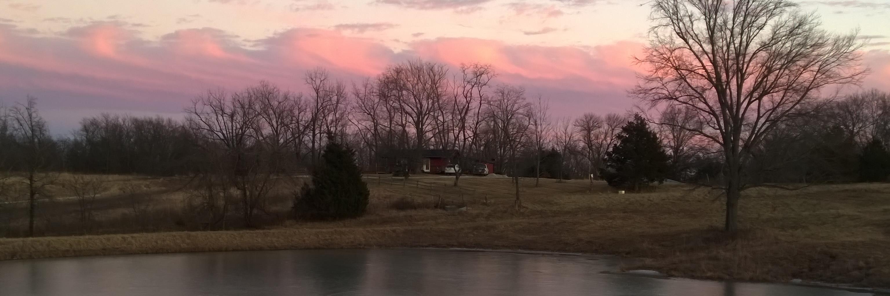 MongoTiger's profile banner image