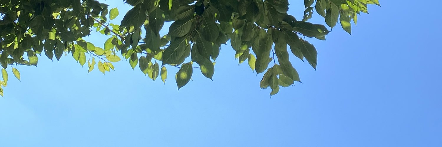 This_dal's profile banner image