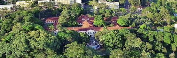 Dario S. Zamboni banner