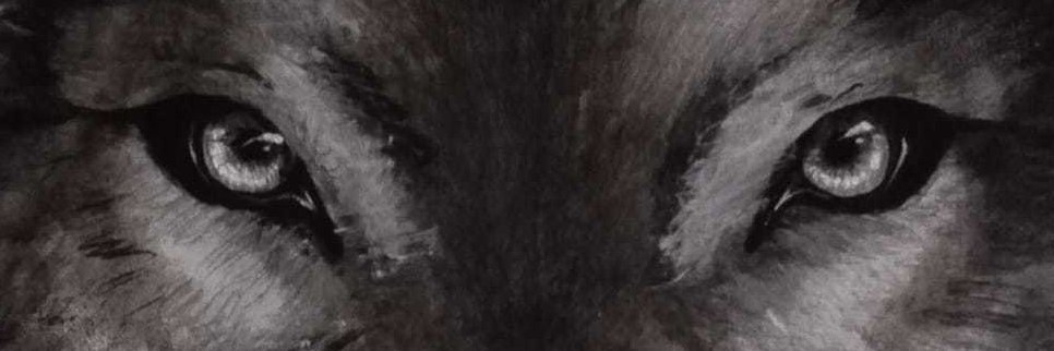 Lui_JV's profile banner image