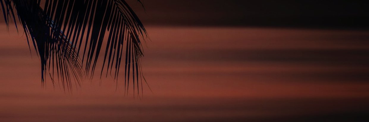 analu_sts's profile banner image