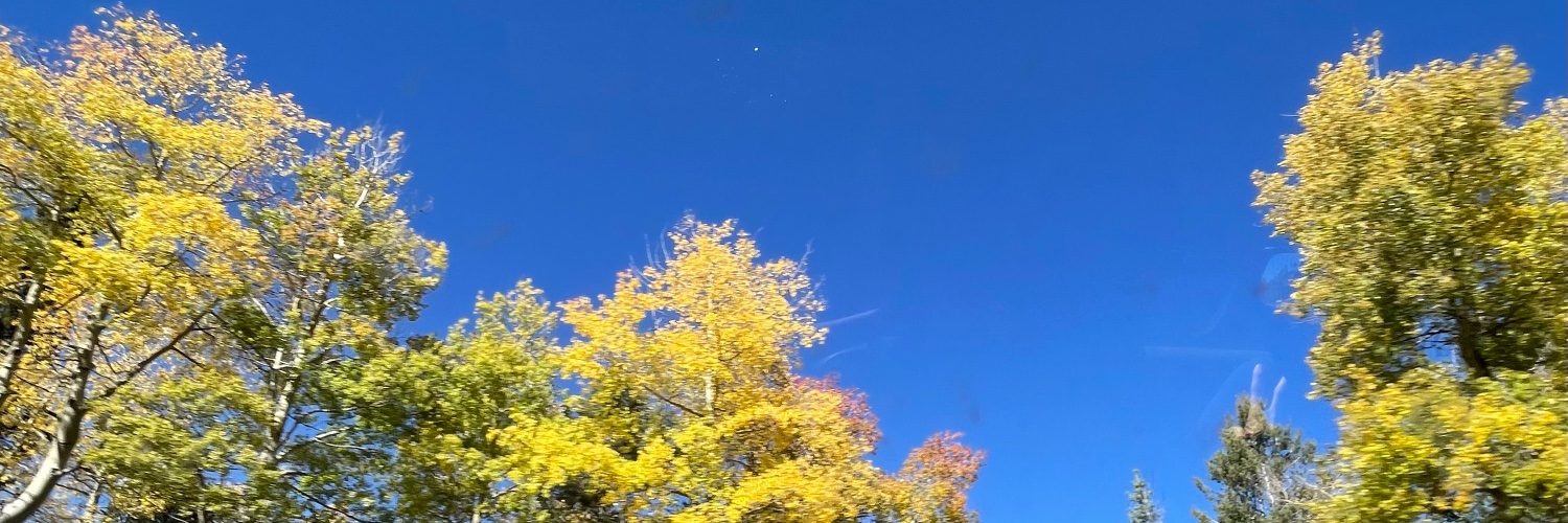 TruthSeekingMom 🧩 banner