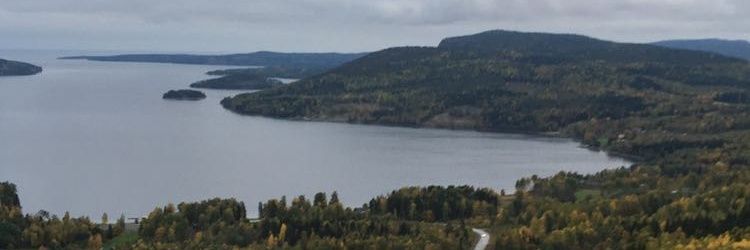 antonsandlund's profile banner image