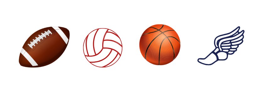 Lutheran Lightning Sports banner