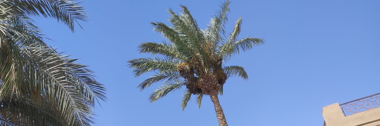 BrbelClausing's profile banner image