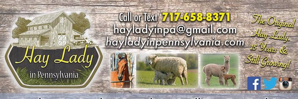 HayLadyInPA's profile banner image