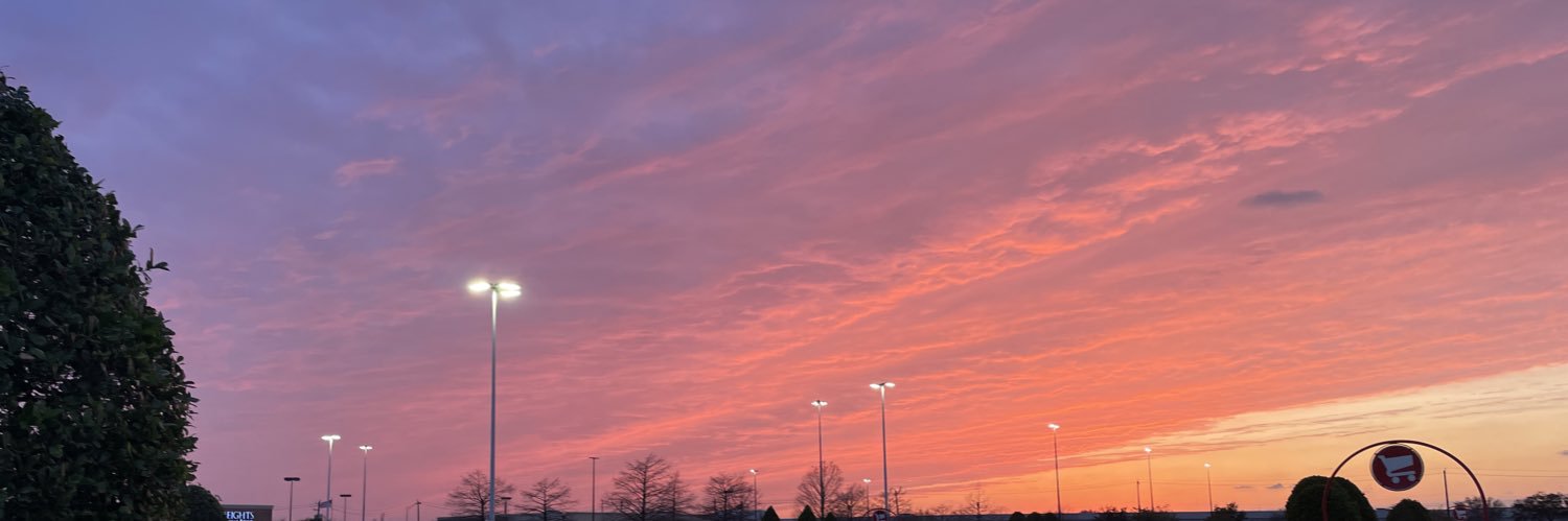 lilsamcastle's profile banner image