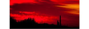 AzDesertCats's profile banner image