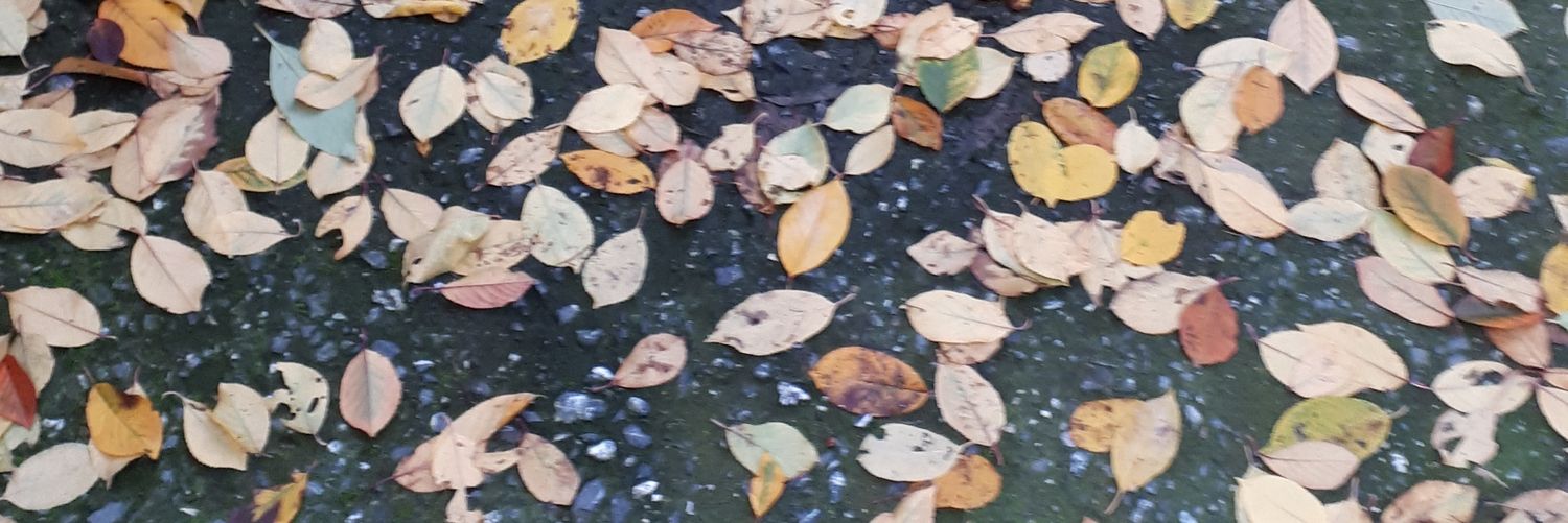 dogusminsin's profile banner image