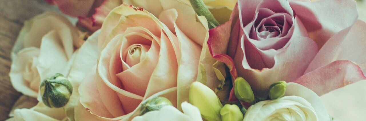 Роксолана banner