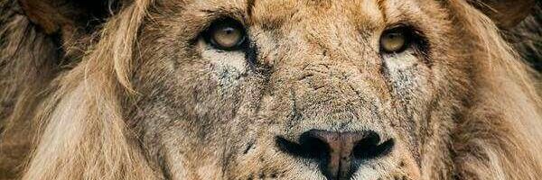 get_your_swAg54's profile banner image