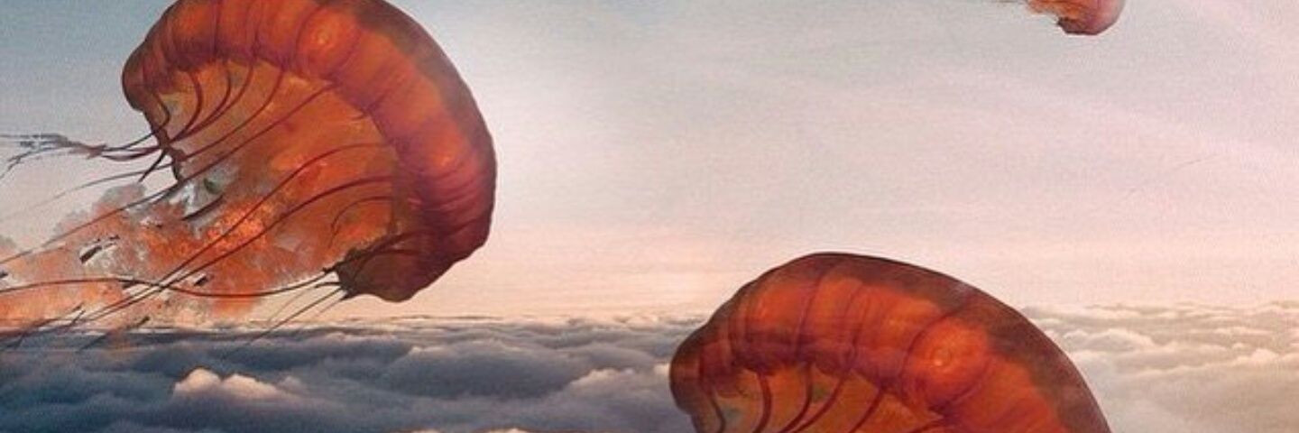 SarayNB's profile banner image
