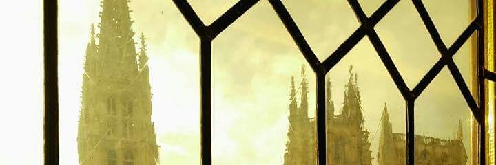 Mónica Martinez banner