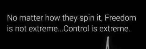 ⚜️Anarchy from New Orleans to Palestine 🇵🇸🏴 banner