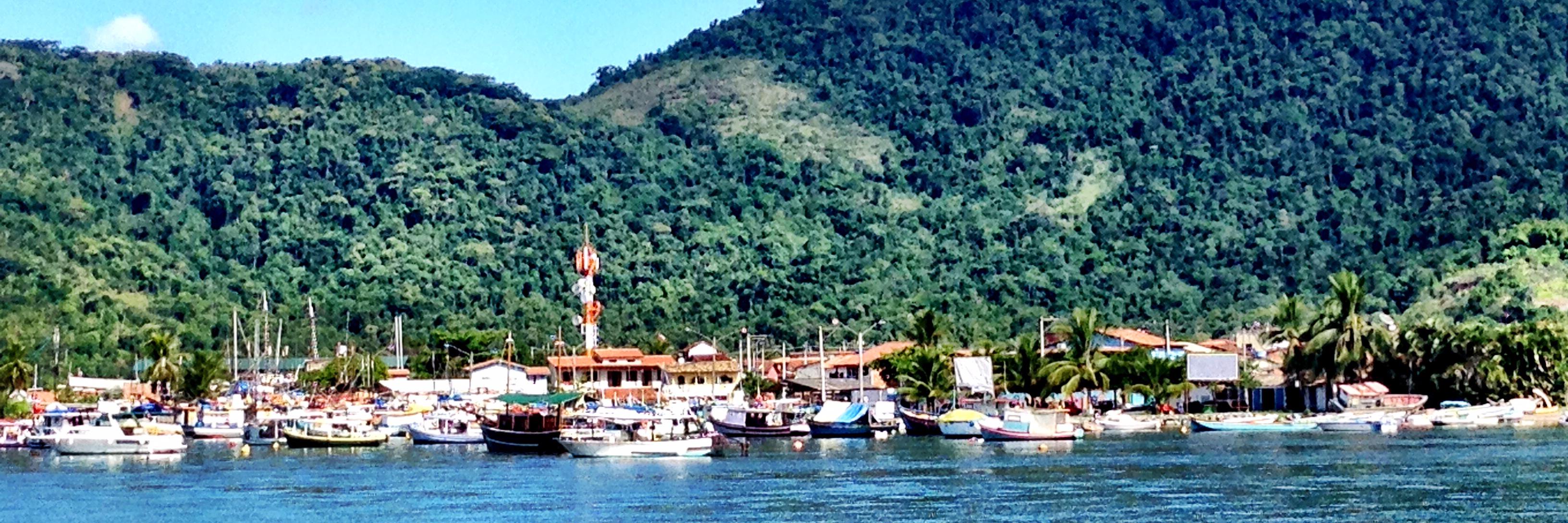 Siobhan Chrétien banner