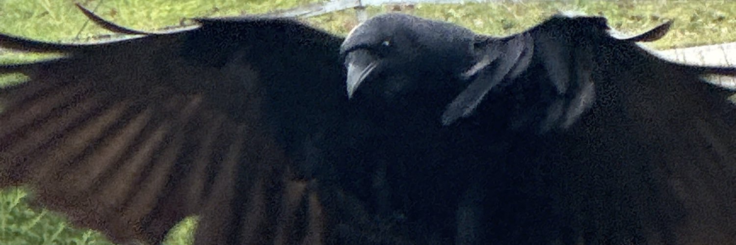 InMegarasWords's profile banner image