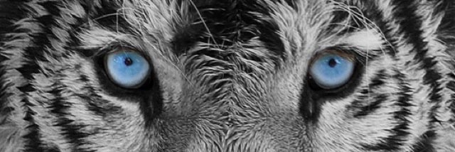 me_migs's profile banner image