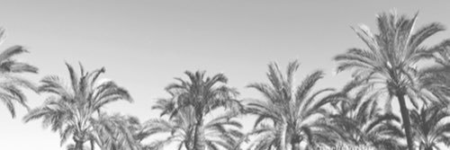 meljoybff's profile banner image