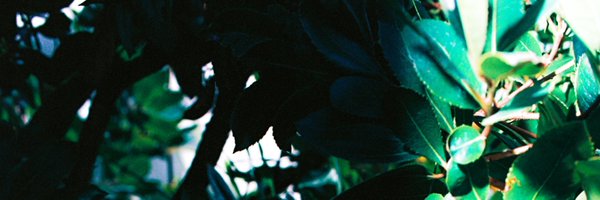 _piezo Profile Banner