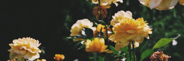 epowaa's profile banner image