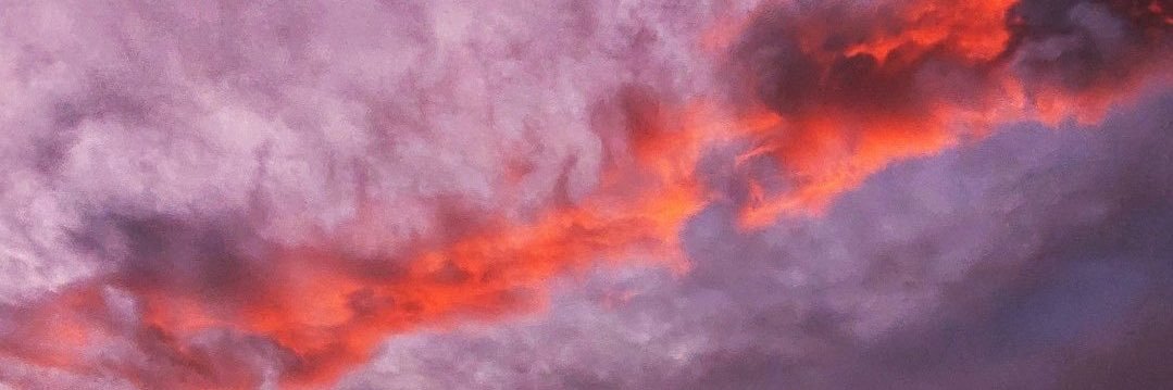 CamiCampregher's profile banner image