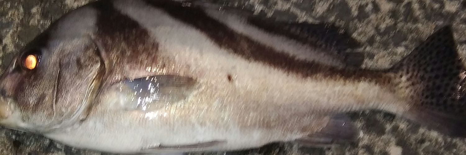 tenimuhow's profile banner image
