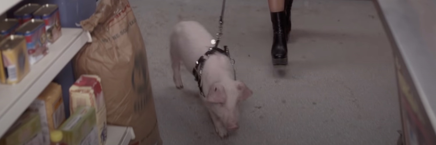 Josh Marshall banner