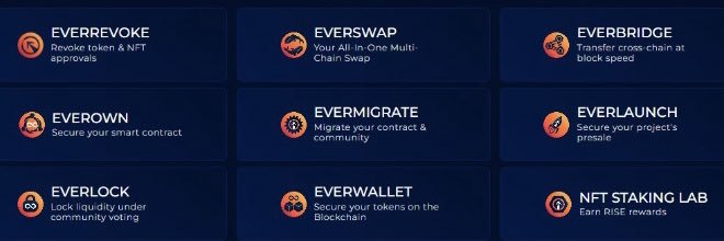 Rise N Beans V3 banner