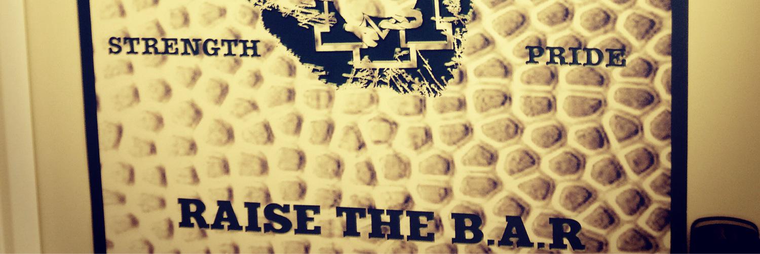 MOUNTIDAWBBALL's profile banner image