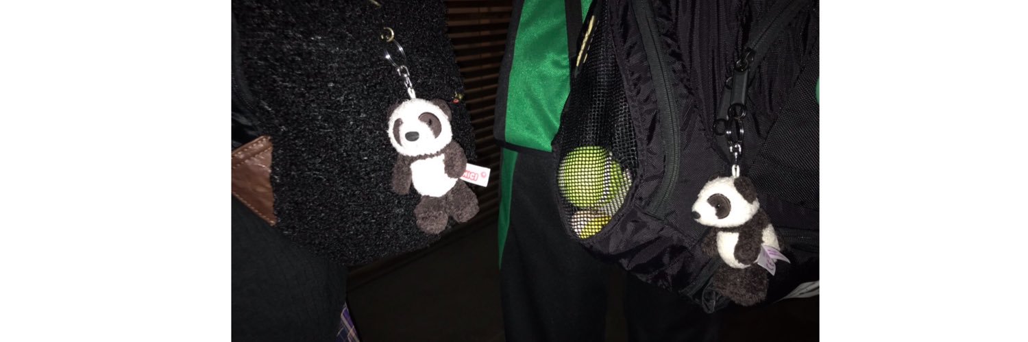 ぱんちゃん🐼 banner