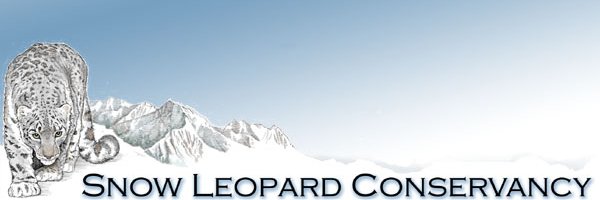 Rocklin J Hellhammer banner