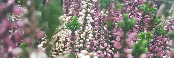 skarayu Profile Banner