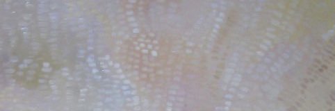 jessbesos's profile banner image