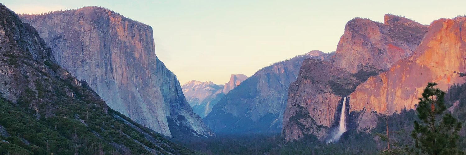 Alyssa Scheiner banner