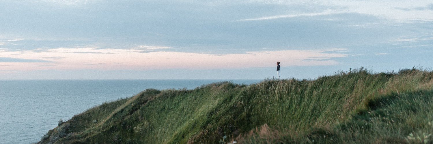 Hello Birds Festival banner