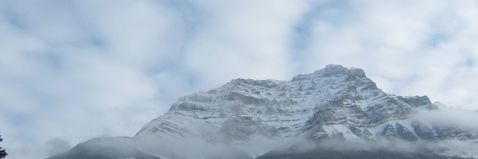 Investing Pursuits banner