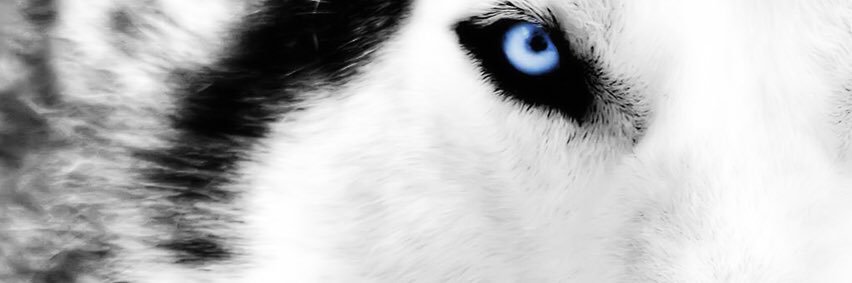 kbocaaki's profile banner image