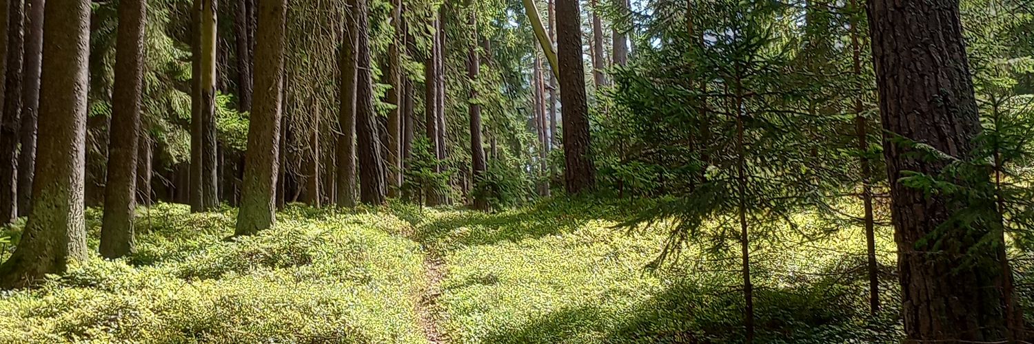 RomanErnk's profile banner image