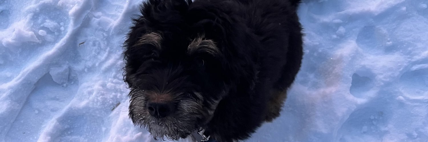 ryanfontaine_'s profile banner image