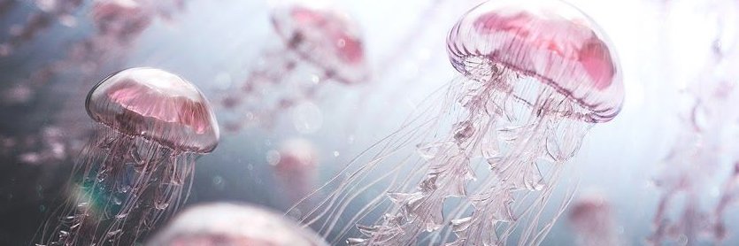 AstronautStella's profile banner image