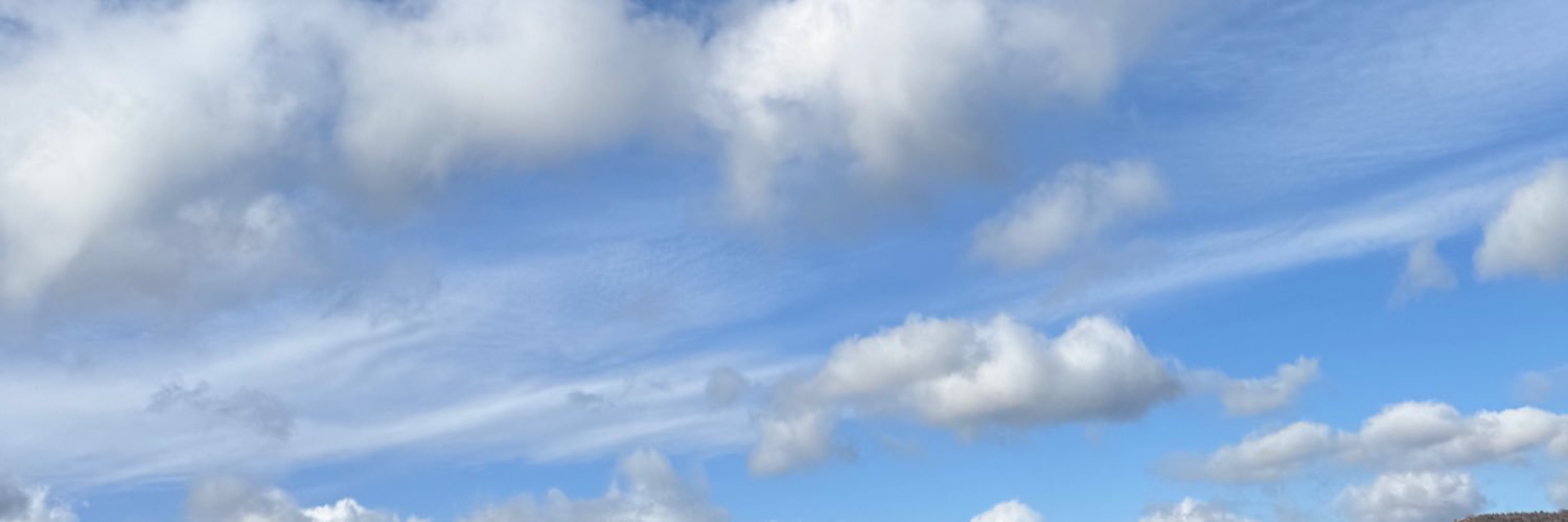 _ajn94's profile banner image