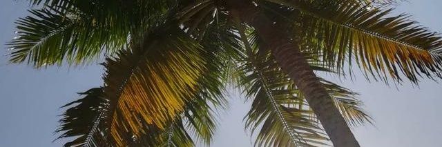 MONIGV2's profile banner image
