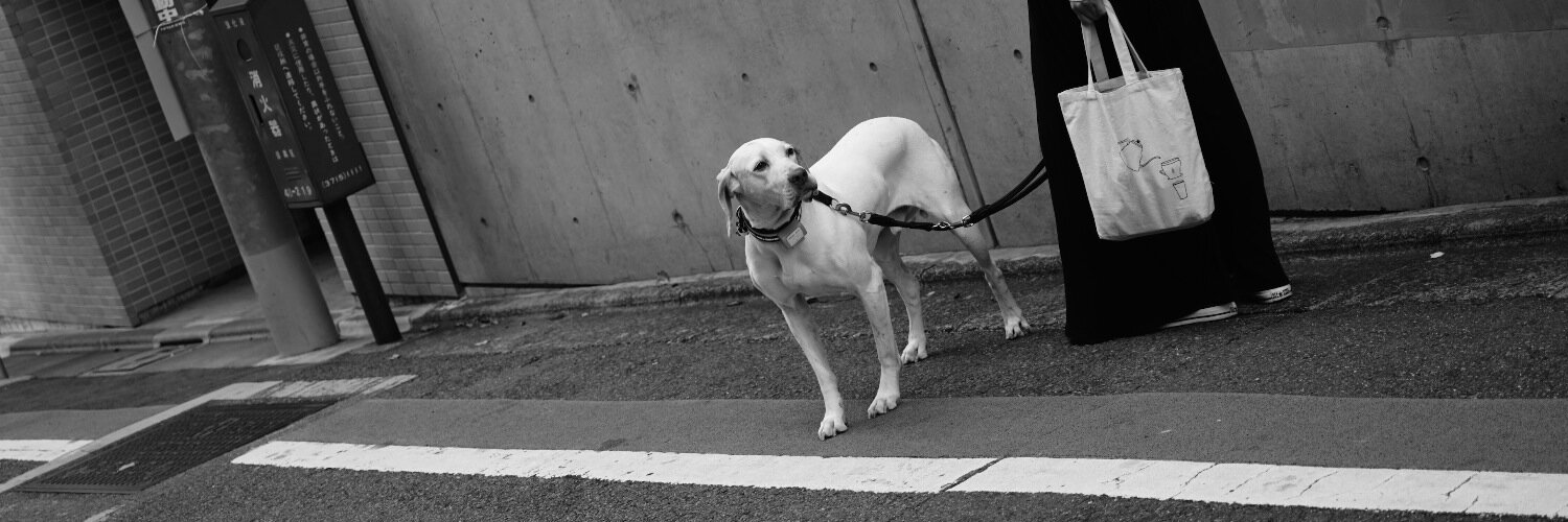 Ken-ichi Nishi / 西健一 banner