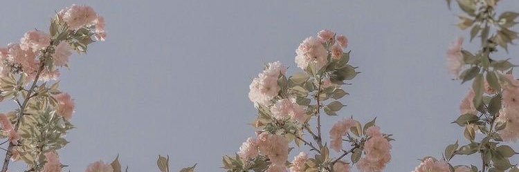 ConiiAlvara2's profile banner image