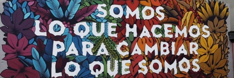 EducacionSO's profile banner image