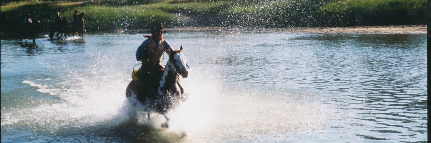 ROCKY 🇺🇸🇺🇸🇺🇸 banner