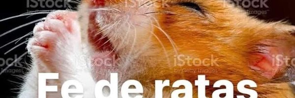 fi0rellit4_ Profile Banner