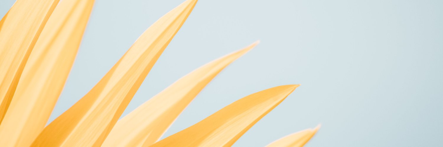 jaydensity's profile banner image
