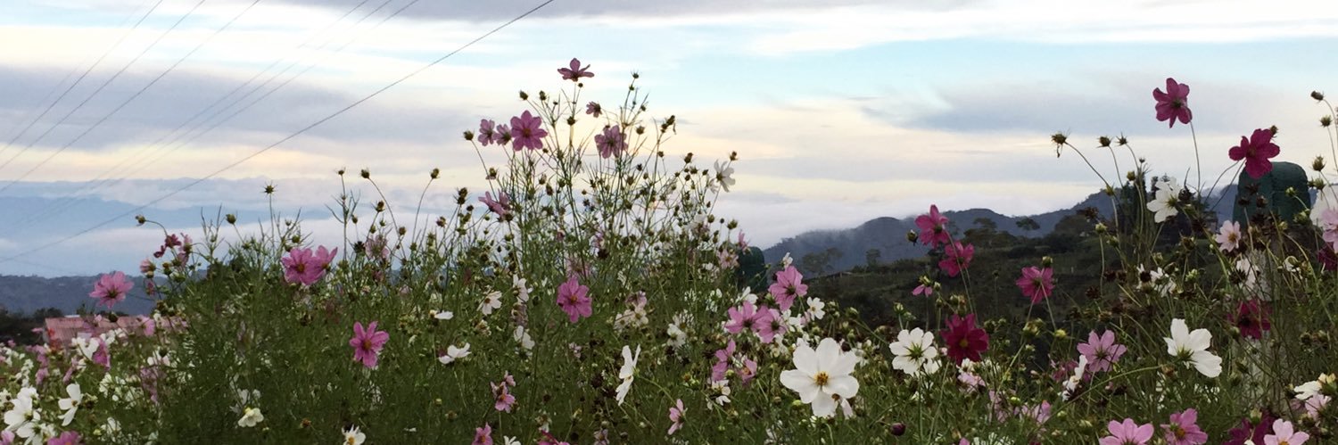 EseDavidCastano's profile banner image