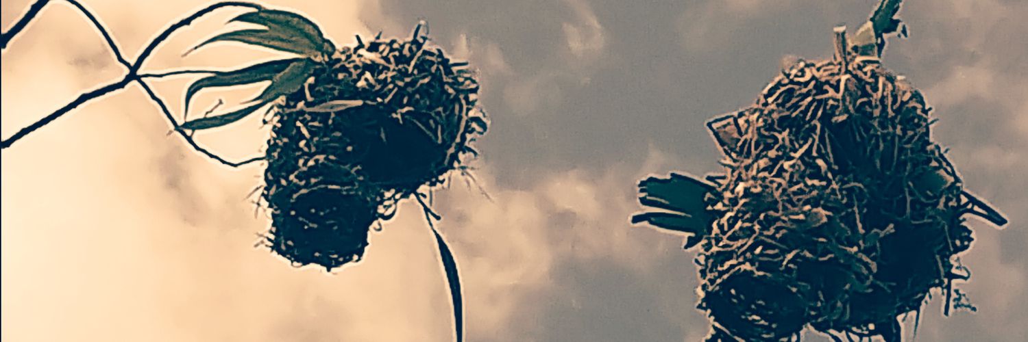 oreyoe's profile banner image